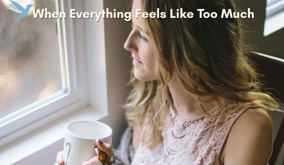 When Everything Feels Like Too Much