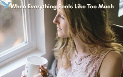 When Everything Feels Like Too Much